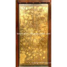 Etched Finish Stainless Steel Passanger Elevator Door Panel Decoration